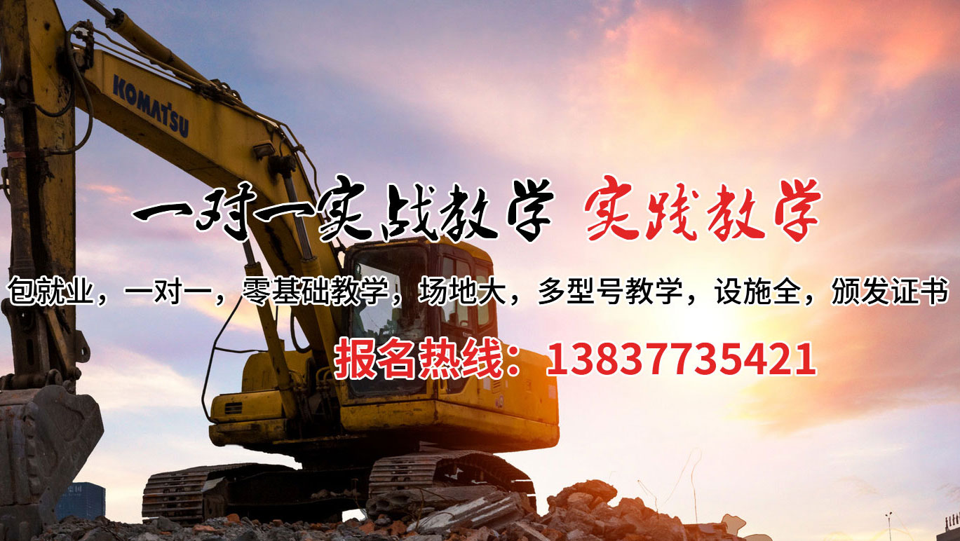 阳新县挖掘机培训案例